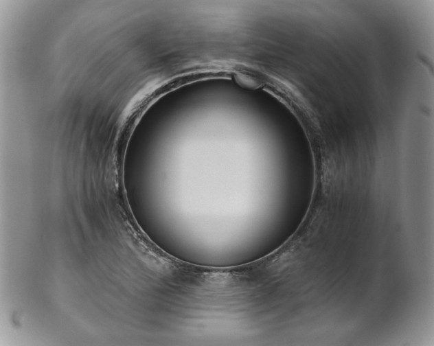 X0000102801172200808181154
