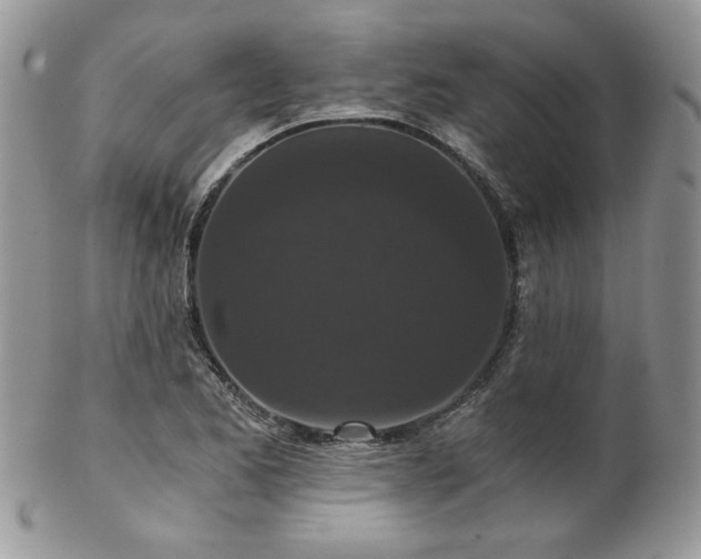 X0000102801173200808181154