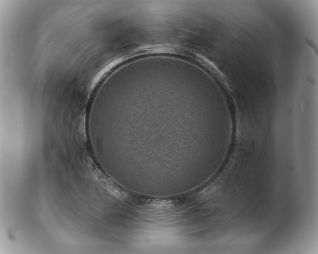 X0000102801174200808181154