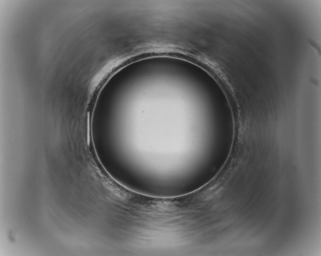 X0000102801175200808181154