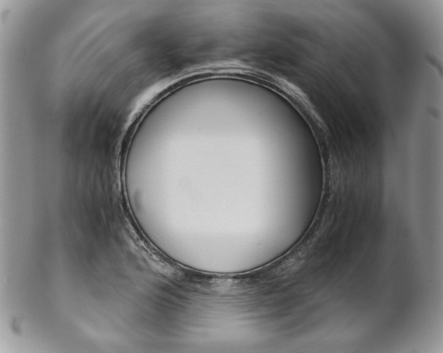 X0000102801176200808181154
