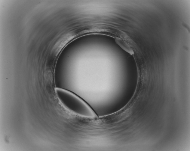X0000102801177200808181154