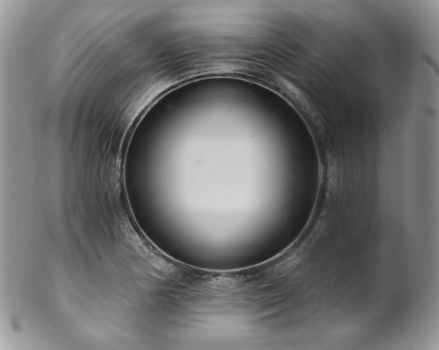 X0000102801178200808181154