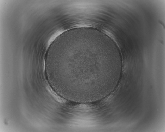 X0000102801179200808181154