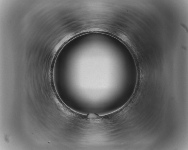 X0000102801181200808181154