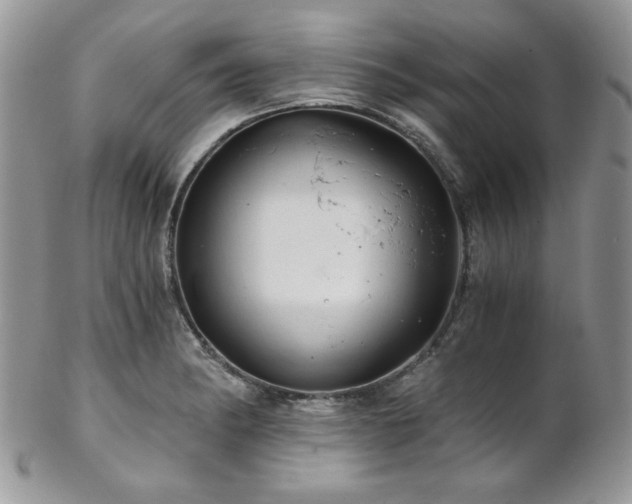 X0000102801182200808181154