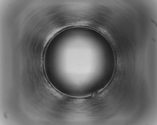 X0000102801184200808181154