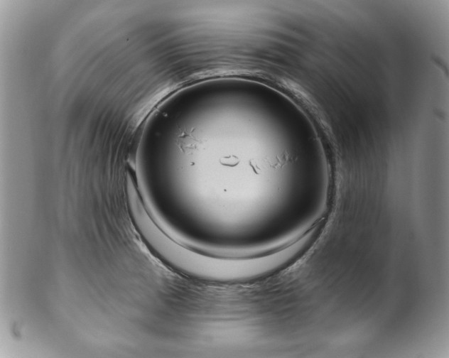 X0000102801185200808181154