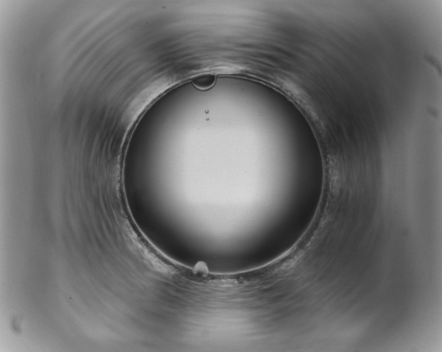 X0000102801186200808181154