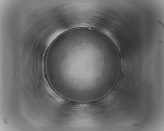 X0000102801187200808181154