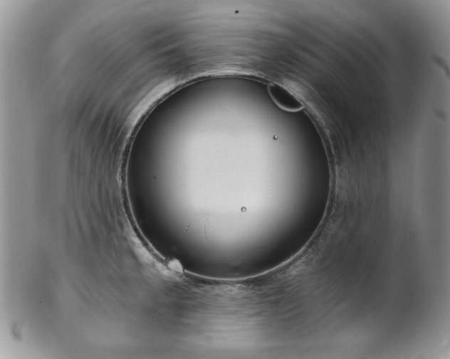 X0000102801189200808181154