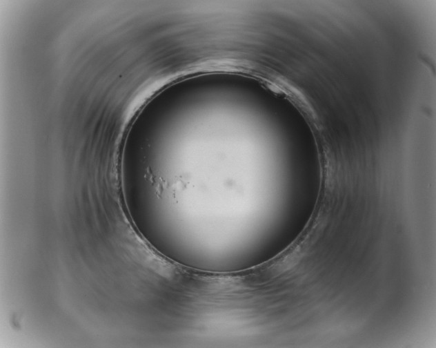 X0000102801192200808181154