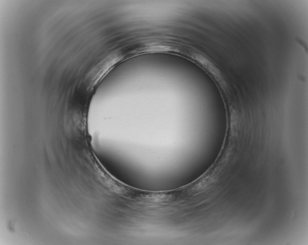 X0000102801193200808181154