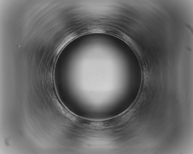 X0000102801194200808181154