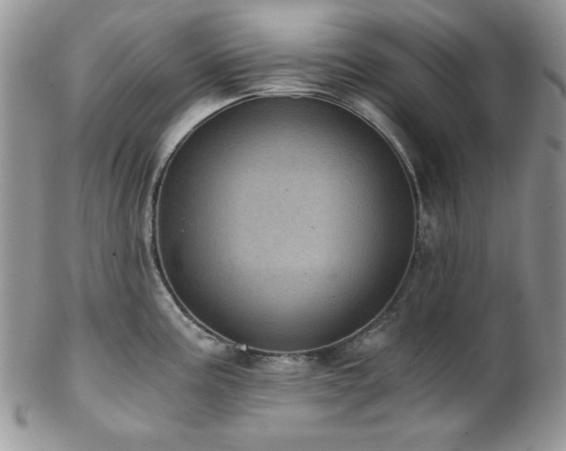 X0000102801195200808181154