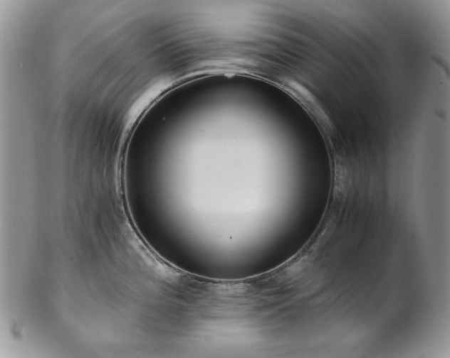 X0000102801196200808181154