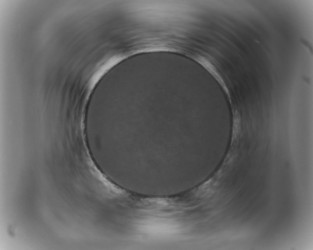 X0000102801197200808181154