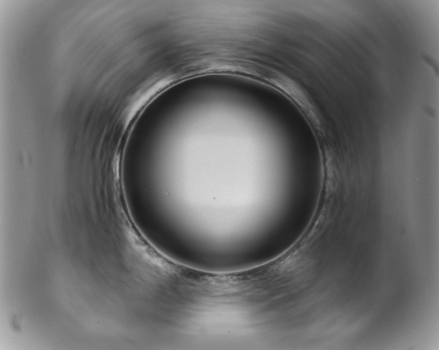 X0000102801198200808181154
