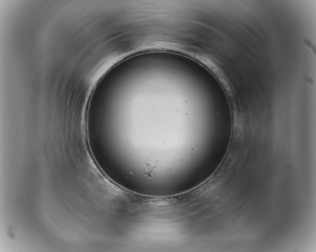 X0000102801199200808181154