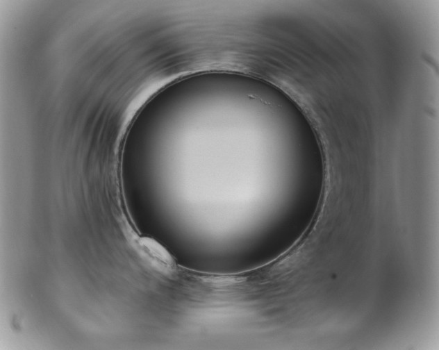 X0000102801200200808181154