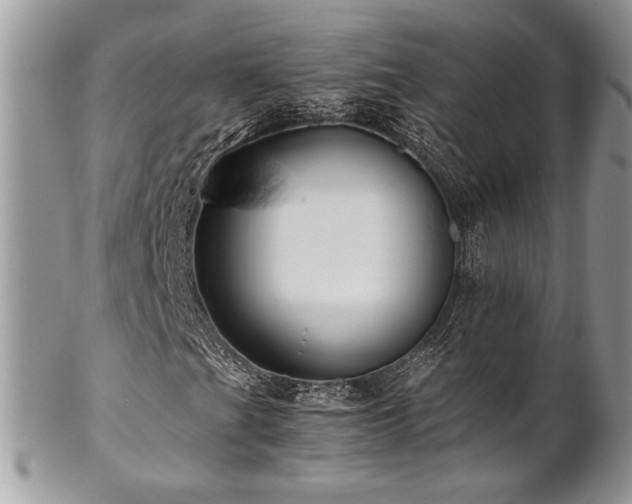 X0000102801201200808181153