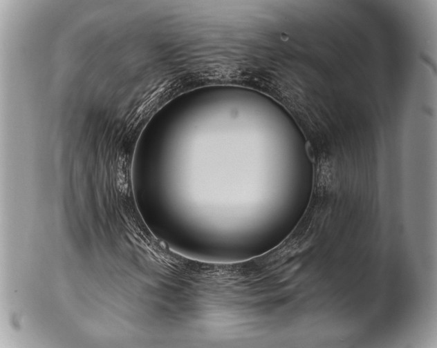 X0000102801202200808181153
