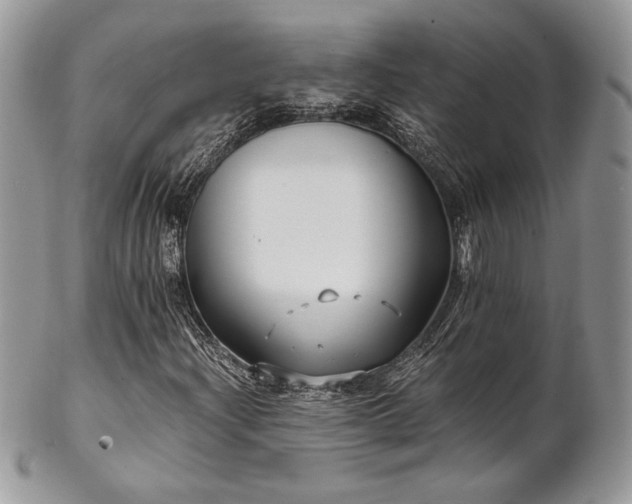 X0000102801204200808181153