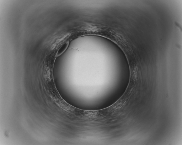 X0000102801205200808181153