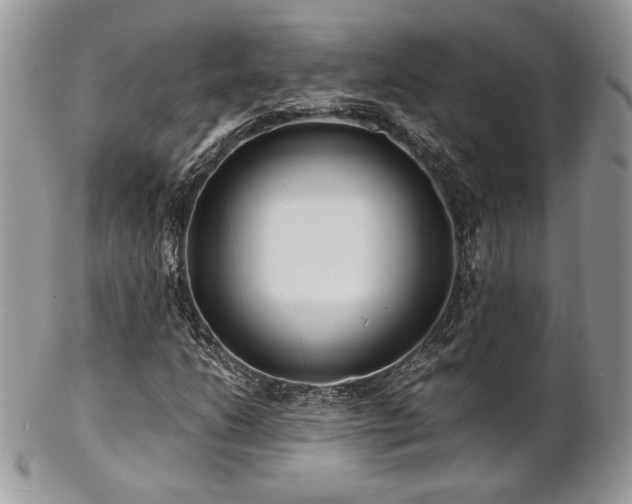 X0000102801206200808181153