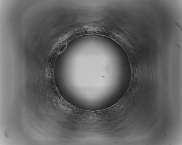 X0000102801207200808181153