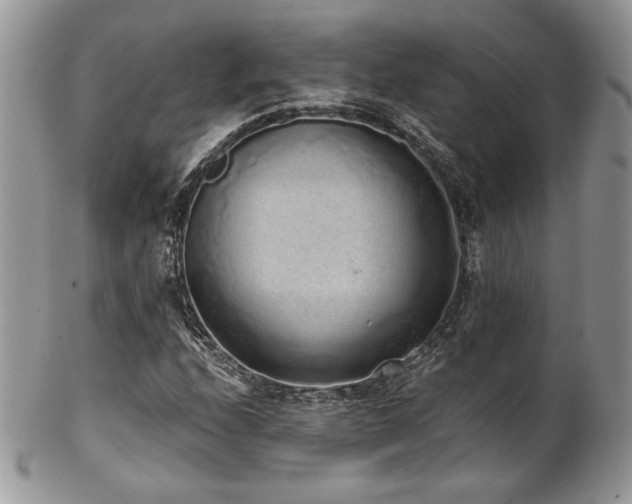 X0000102801208200808181153