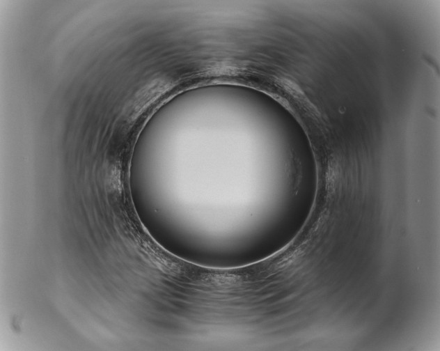 X0000102801209200808181153
