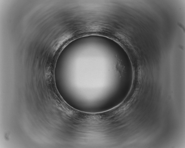 X0000102801210200808181153