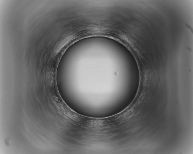 X0000102801211200808181153