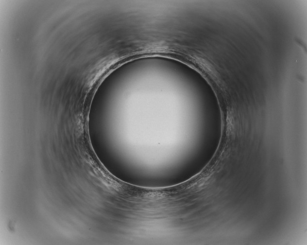 X0000102801212200808181153