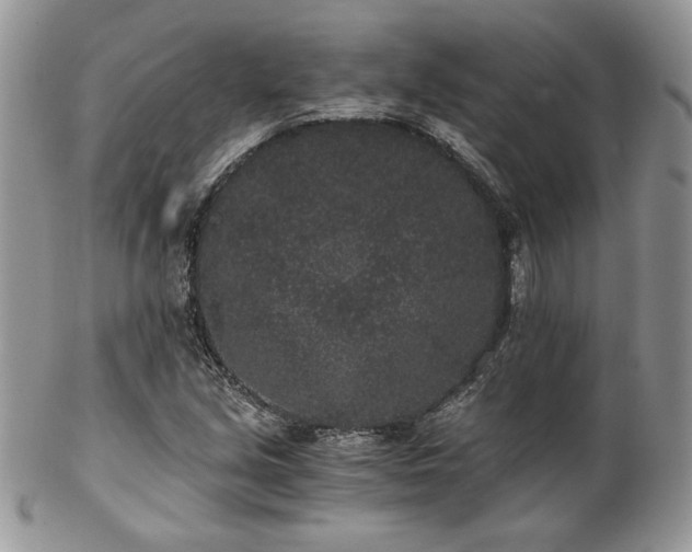 X0000102801213200808181153