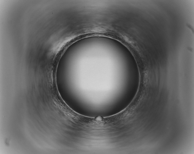 X0000102801214200808181153