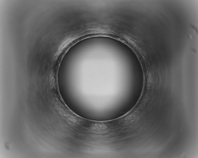 X0000102801215200808181153