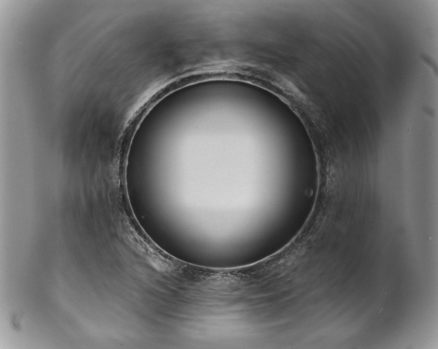 X0000102801216200808181153