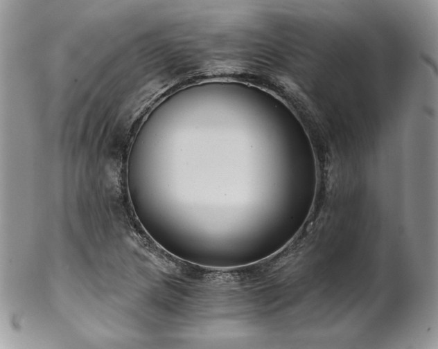 X0000102801217200808181153