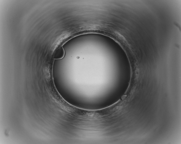 X0000102801218200808181153
