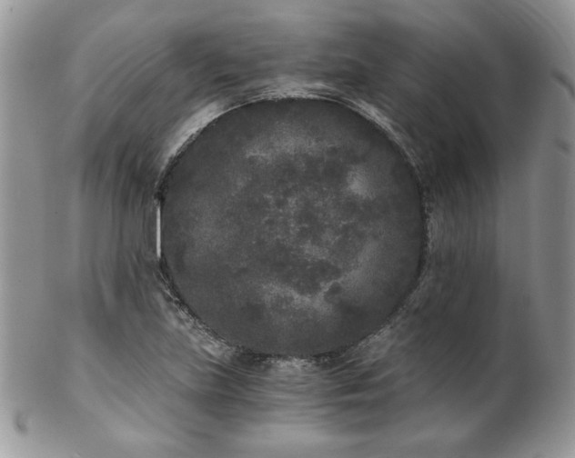 X0000102801219200808181153