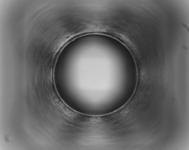 X0000102801220200808181153