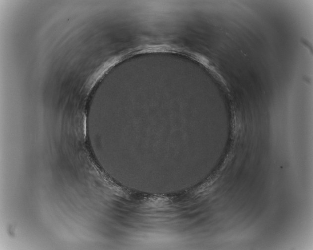 X0000102801221200808181153