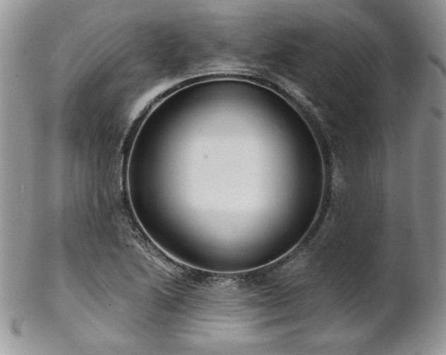 X0000102801222200808181153