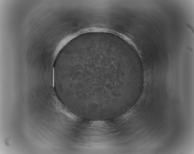 X0000102801223200808181153