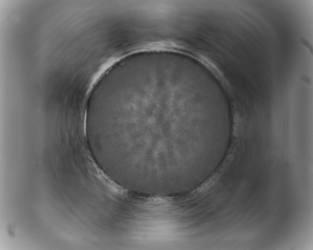 X0000102801224200808181153