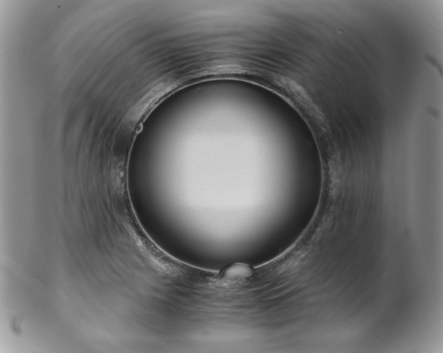 X0000102801225200808181153