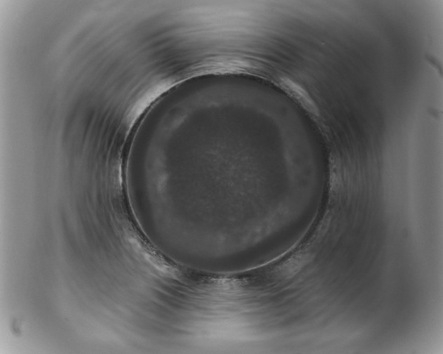 X0000102801226200808181153