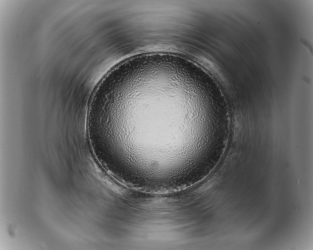 X0000102801228200808181153